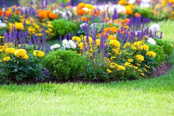 flower gardening