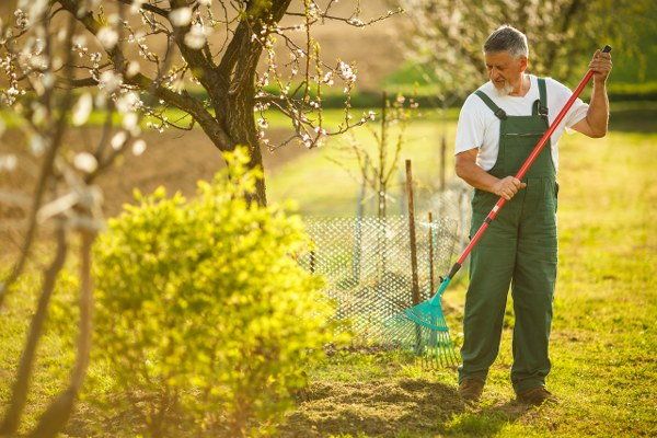 garden clearance