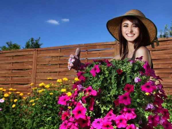 flower garden maintenance