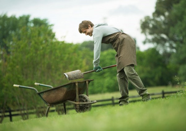 lawn planting