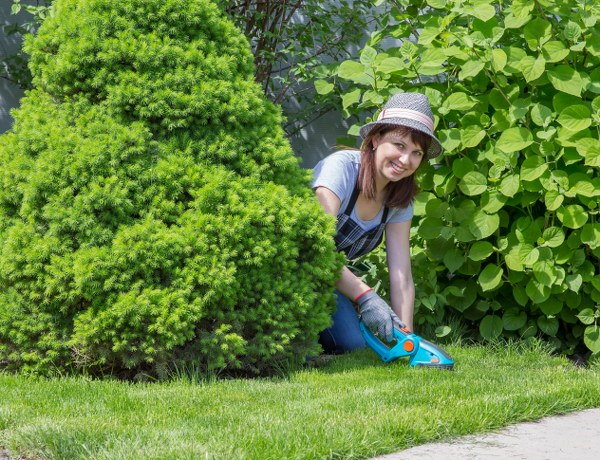 grass cutting