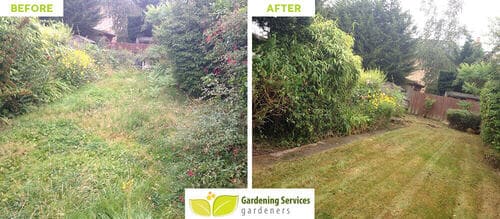 Orpington garden cleaning services BR6