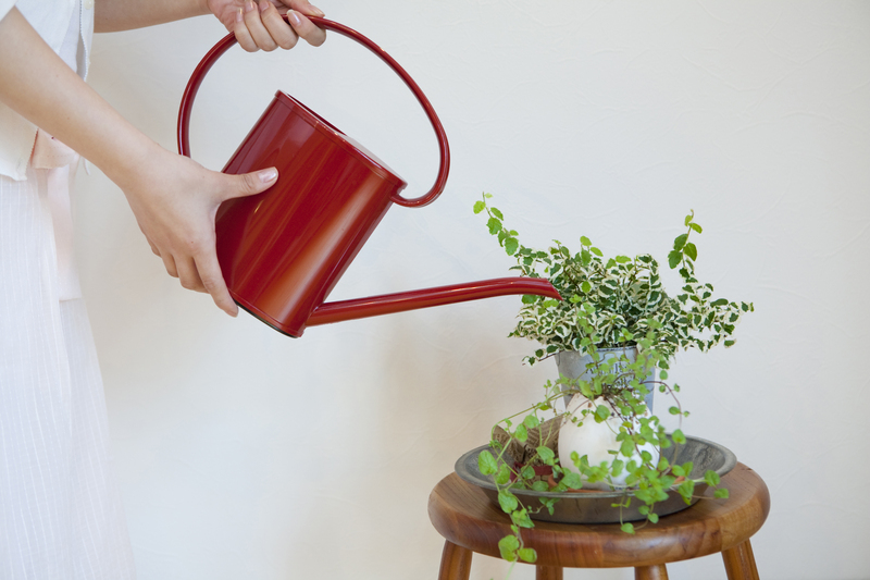 Garden planting