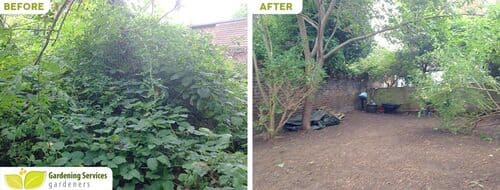 Beckenham landscaping company BR3