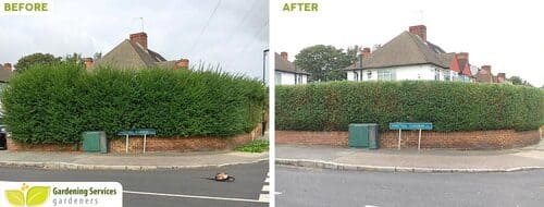 Cambridge garden clean up CB1