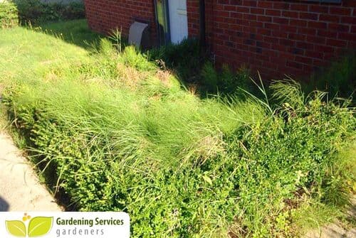 Bexley landscaping company DA5