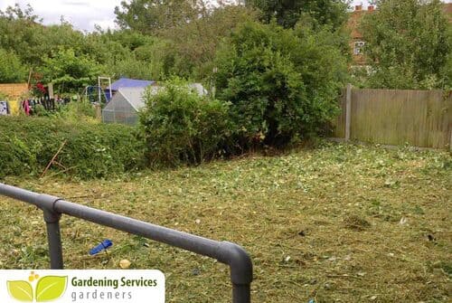 Leyton garden clean up E10