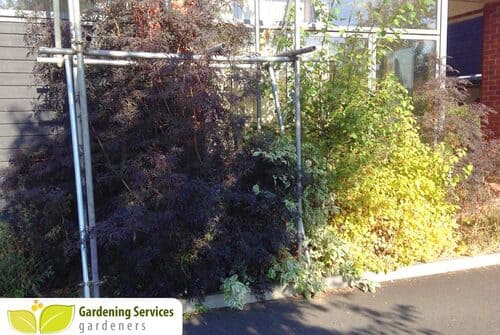 Victoria Park landscaping company E9