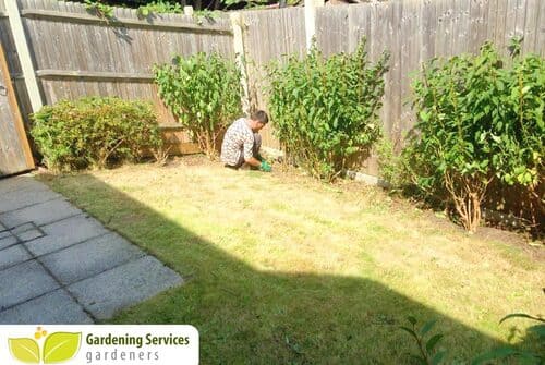 City garden clean up EC2