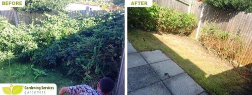 Potters Bar garden clean up EN6