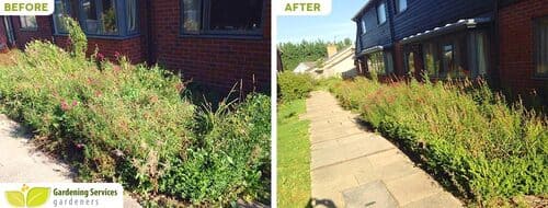 Buckhurst Hill garden clean up IG9