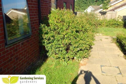 hard landscaping N21