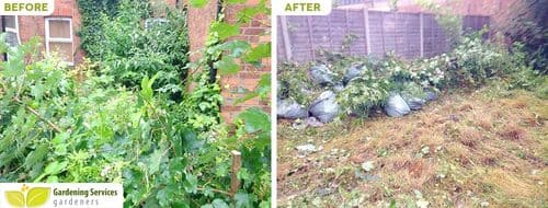 Upminster garden clean up RM14