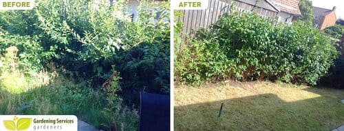 Gidea Park garden clean up RM2