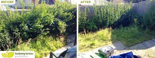 West Wimbledon garden clean up SW20