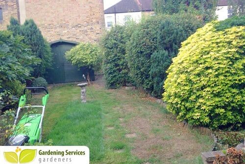 Brook Green landscaping company W14