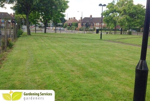 low maintenance landscaping TW15