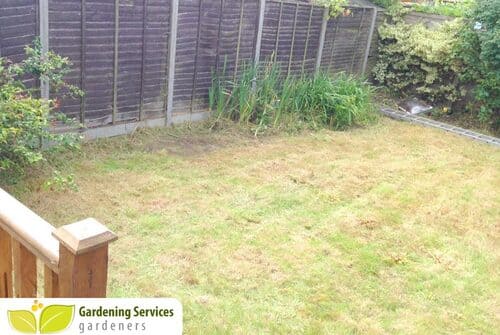 Staines gardening uk