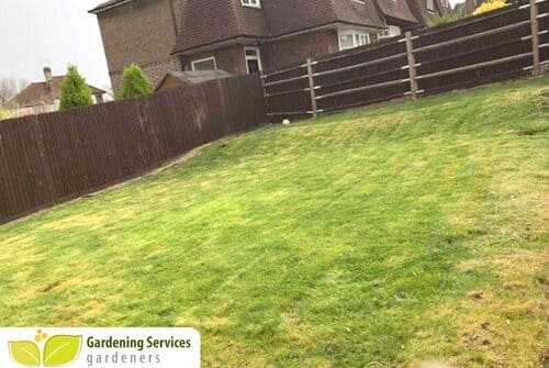 low maintenance landscaping W5