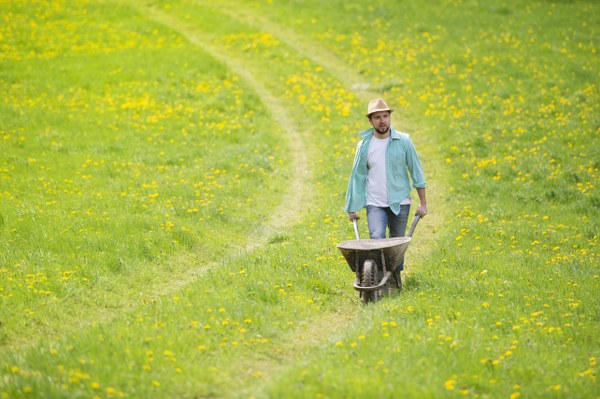 garden maintenance